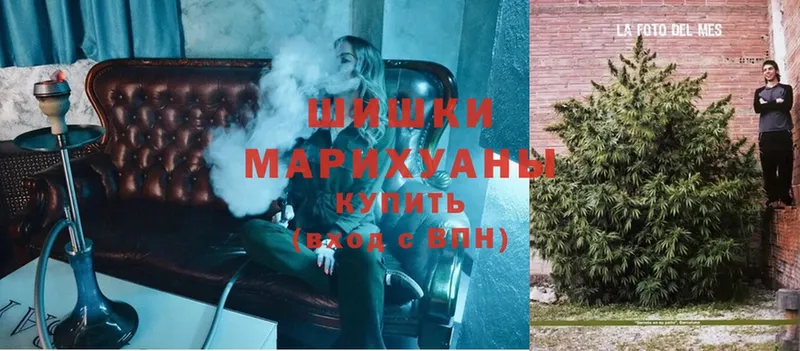 Бошки марихуана SATIVA & INDICA  Ковров 